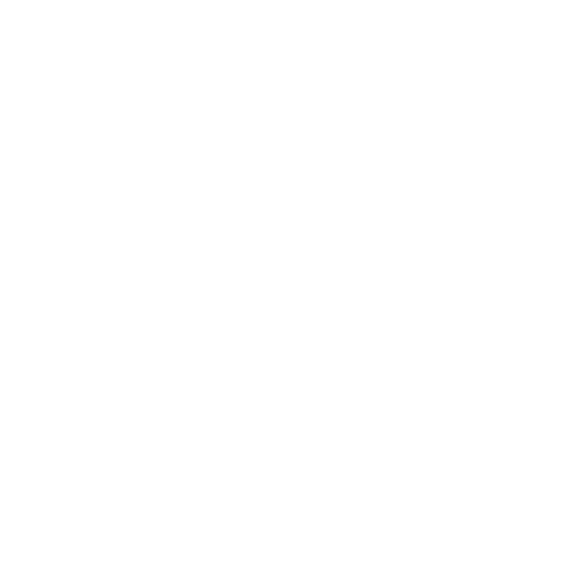 x logo