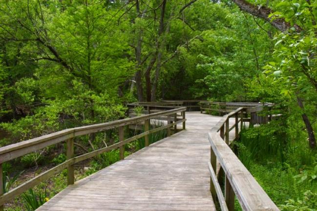 Bog Garden in Greensboro NC